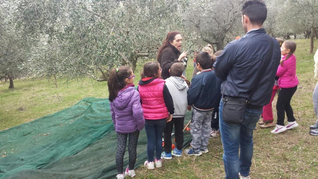 Photo of Others in Collemancio