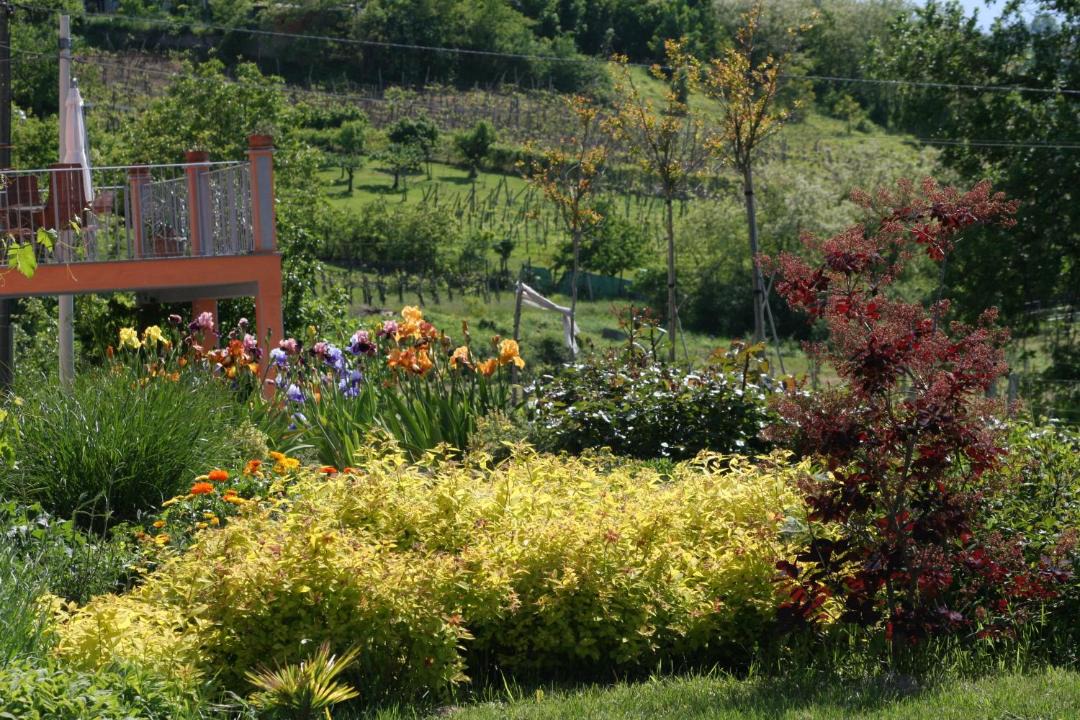 Photo of Outdoor in Montecalvo Versiggia