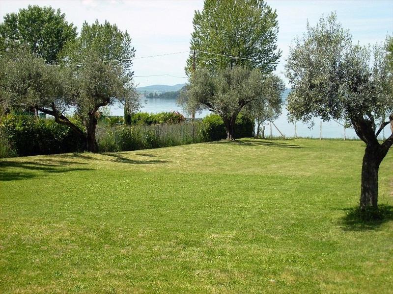 Photo of Others in Montefiascone