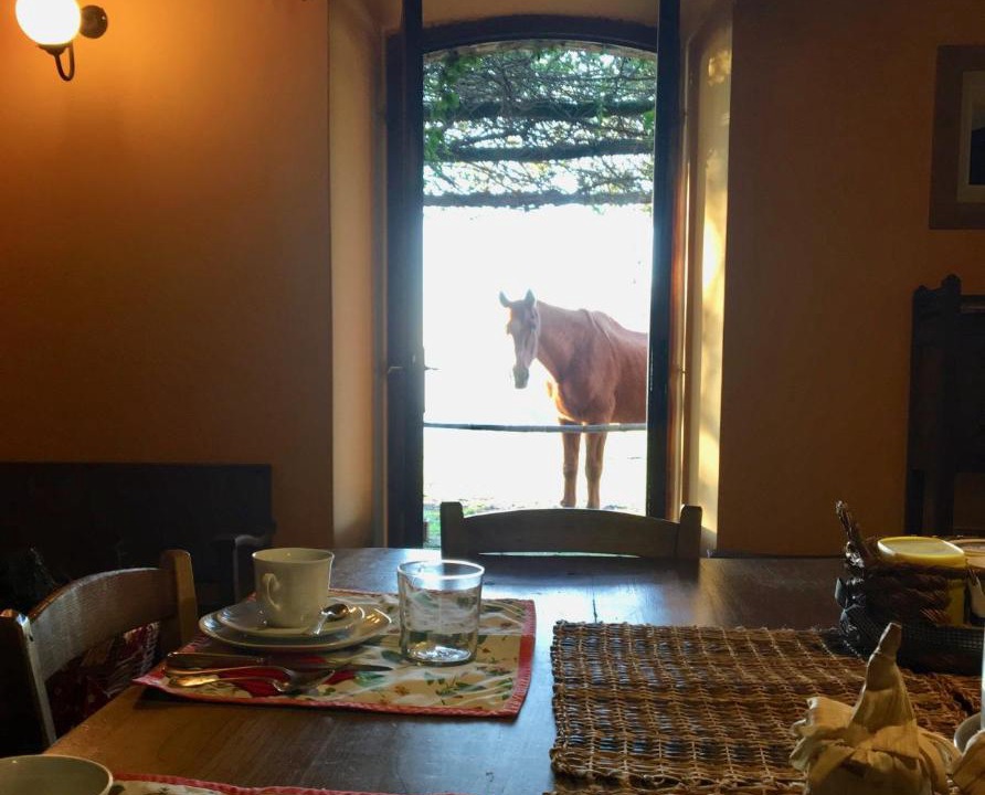 Photo of Others in Lubriano