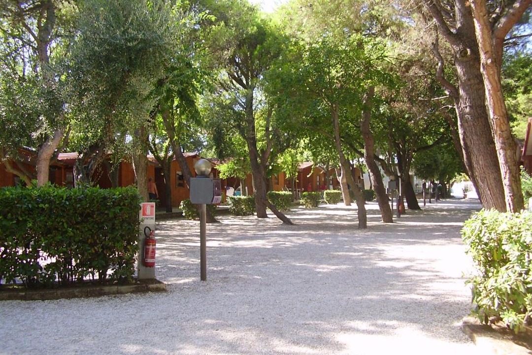 Photo of Others in Sirolo