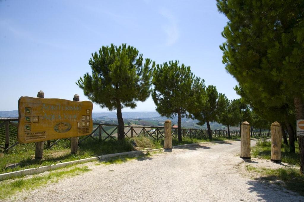 Photo of Others in Acquaviva Picena