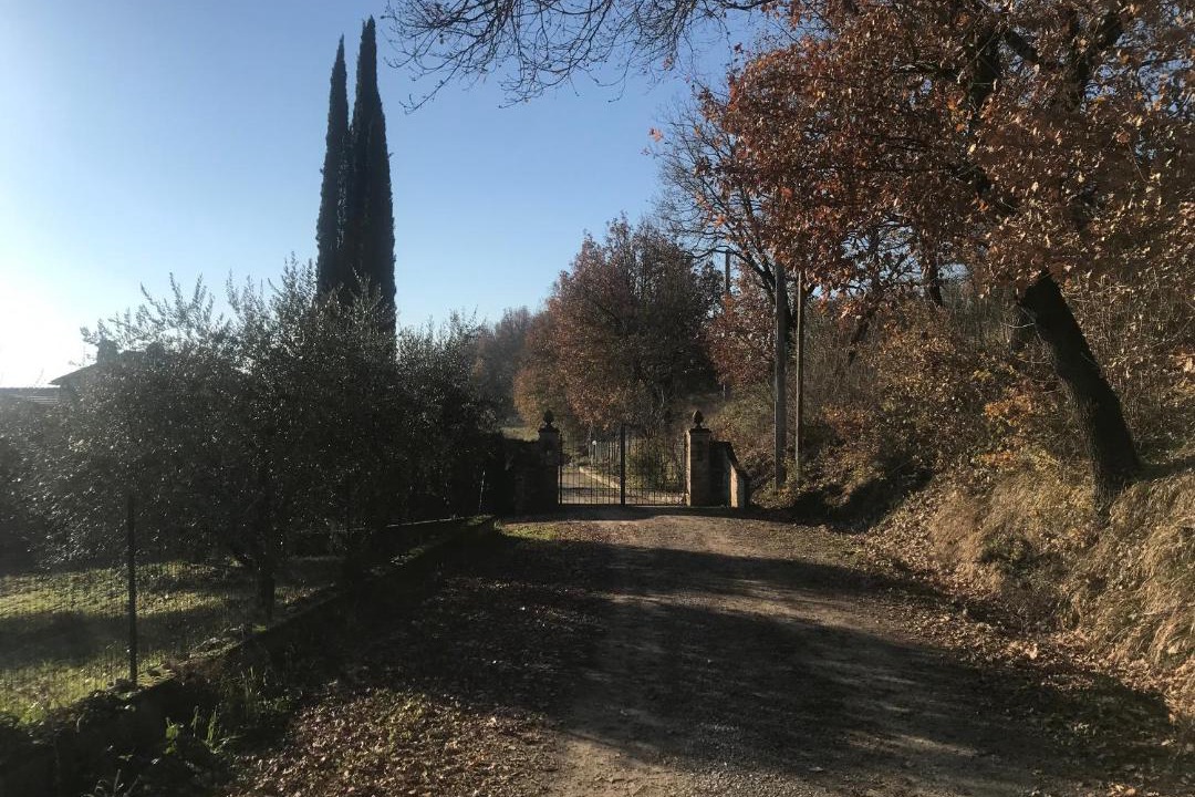 Photo of Others in Perugia