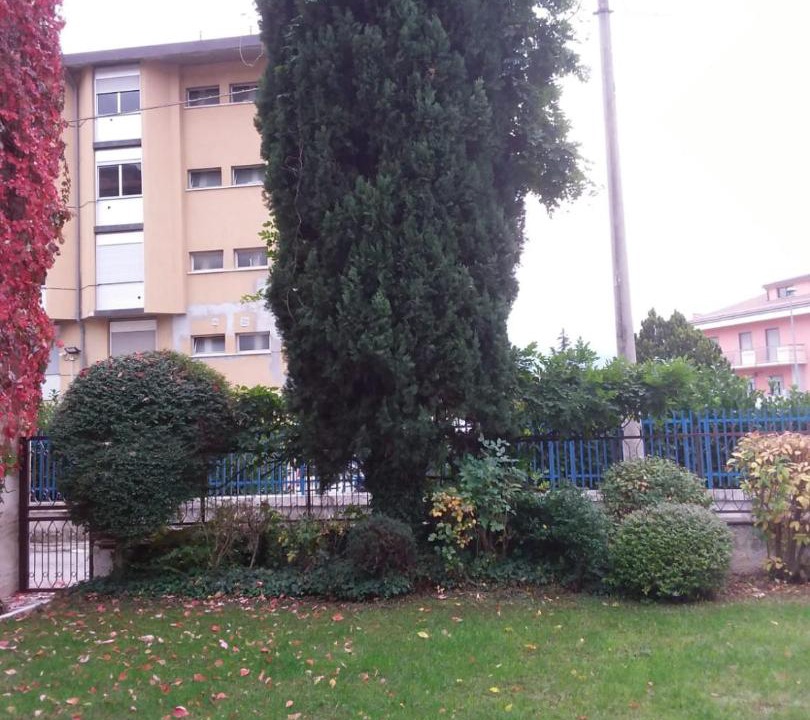Photo of Others in L'Aquila
