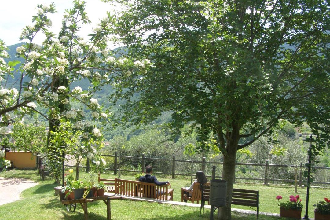 Photo of Others in Piaggine