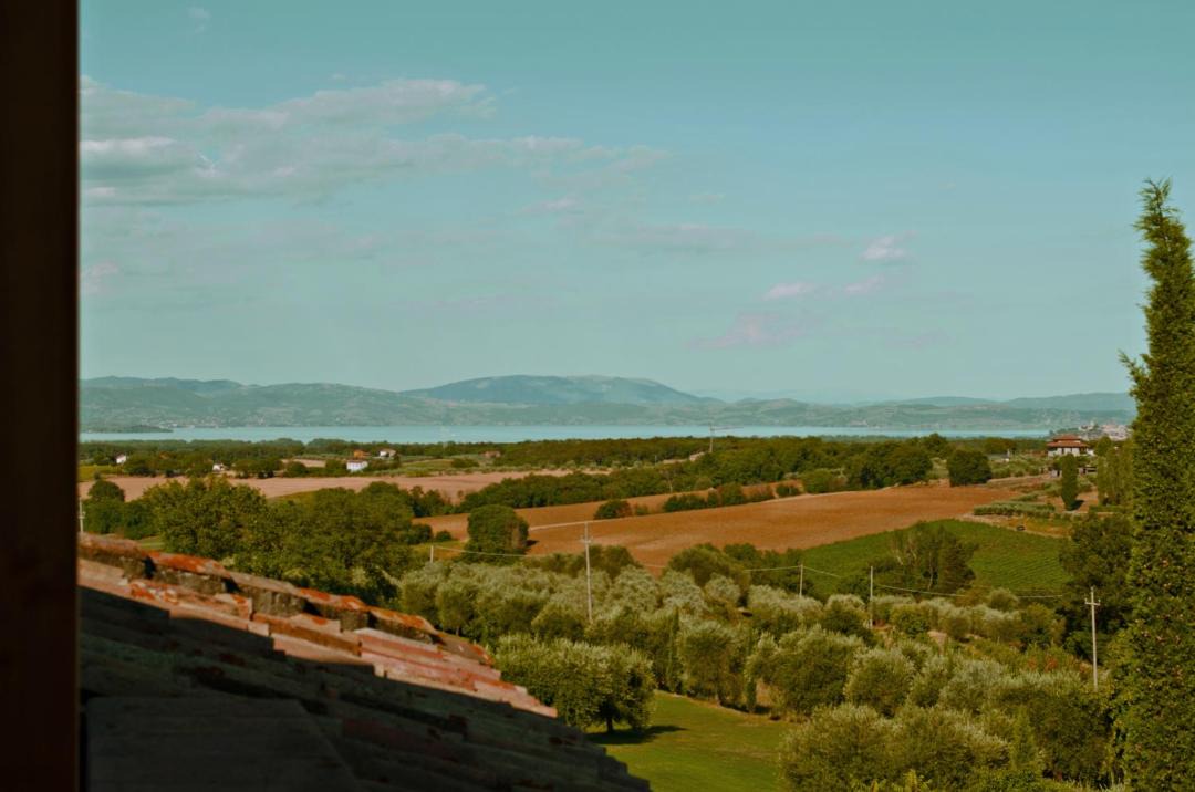 Photo of Others in Pozzuolo
