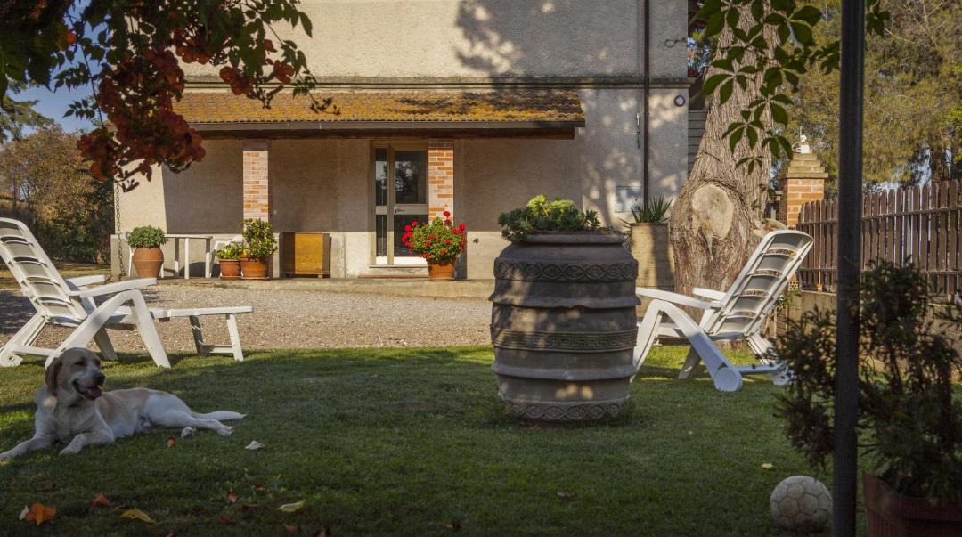 Photo of Others in Campagnatico