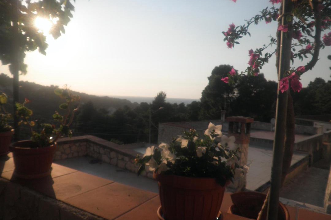 Photo of Others in Vico del Gargano