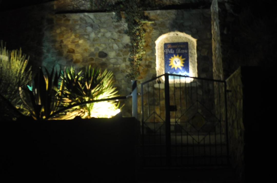 Photo of Others in Ponza