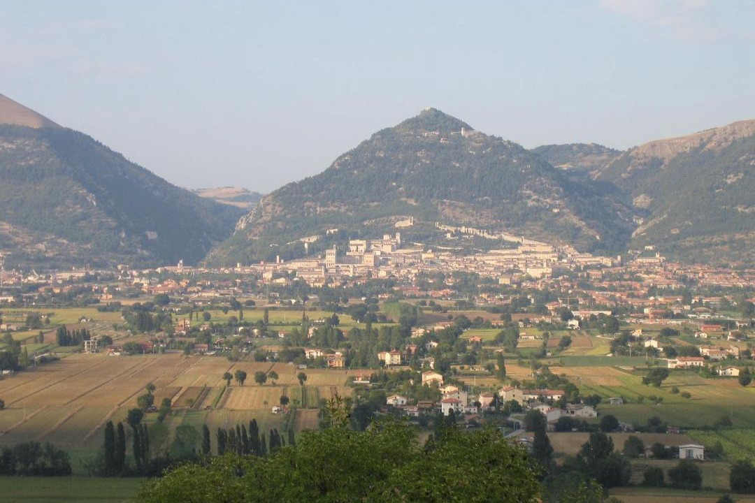 Photo of Others in Monteluiano