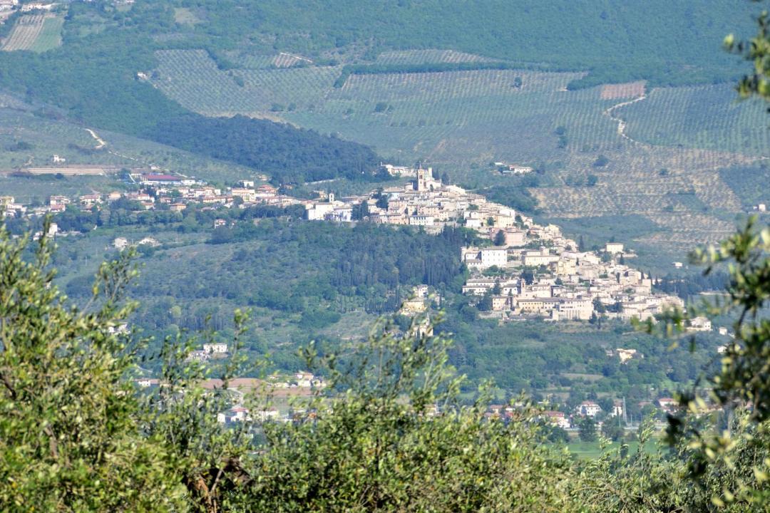 Photo of Others in Montefalco