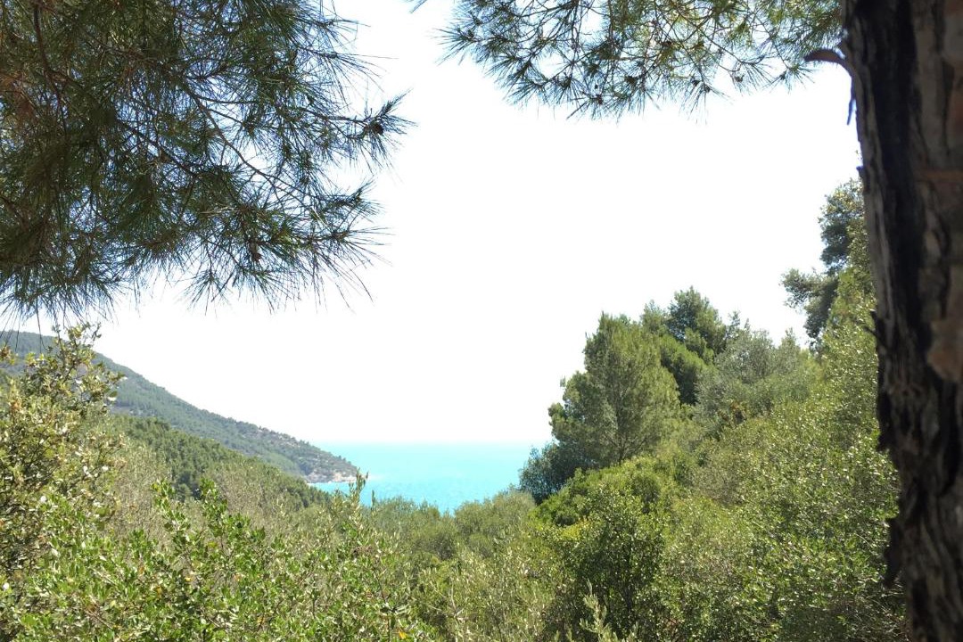 Photo of Others in Mattinata