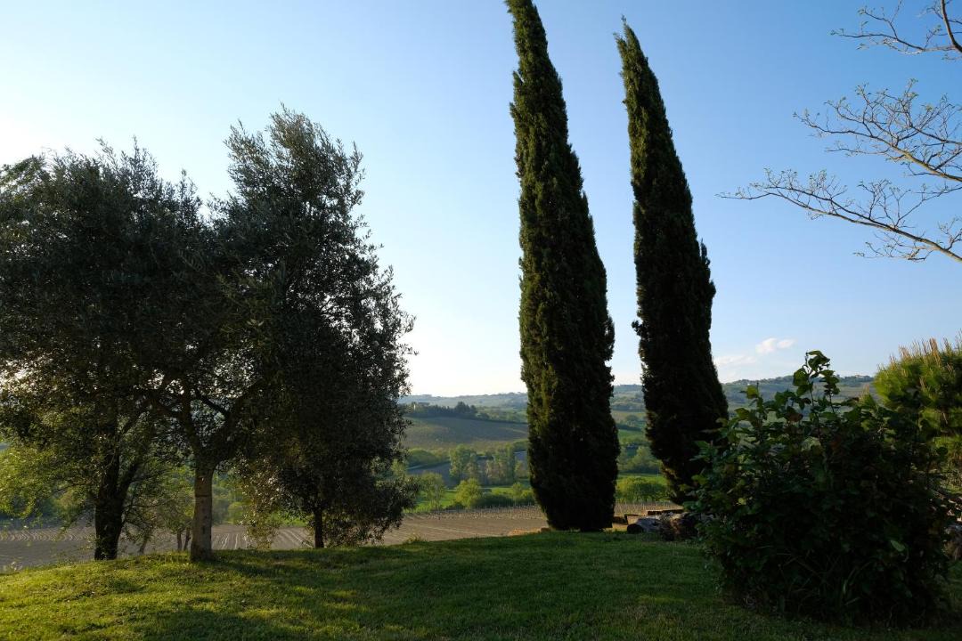 Photo of Others in Montecarotto