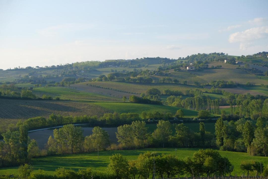 Photo of Others in Montecarotto