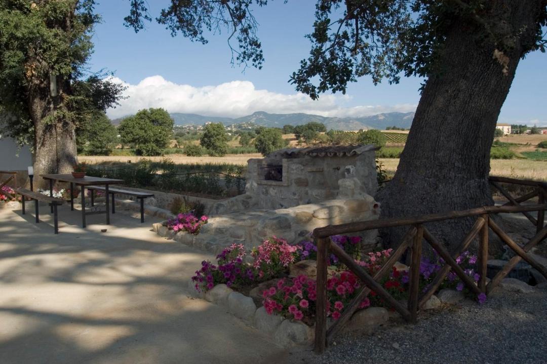 Photo of Others in Altomonte
