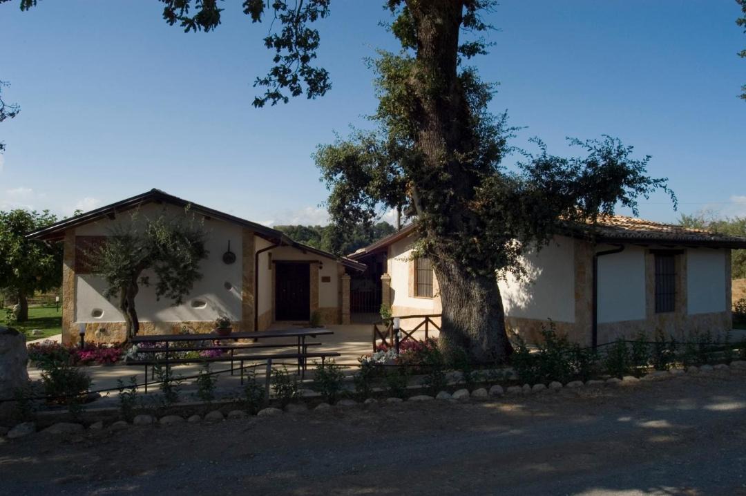 Photo of Others in Altomonte