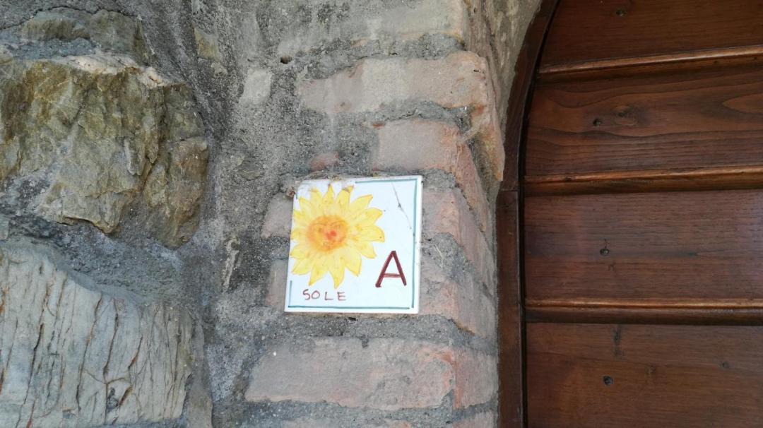 Photo of Others in Allerona