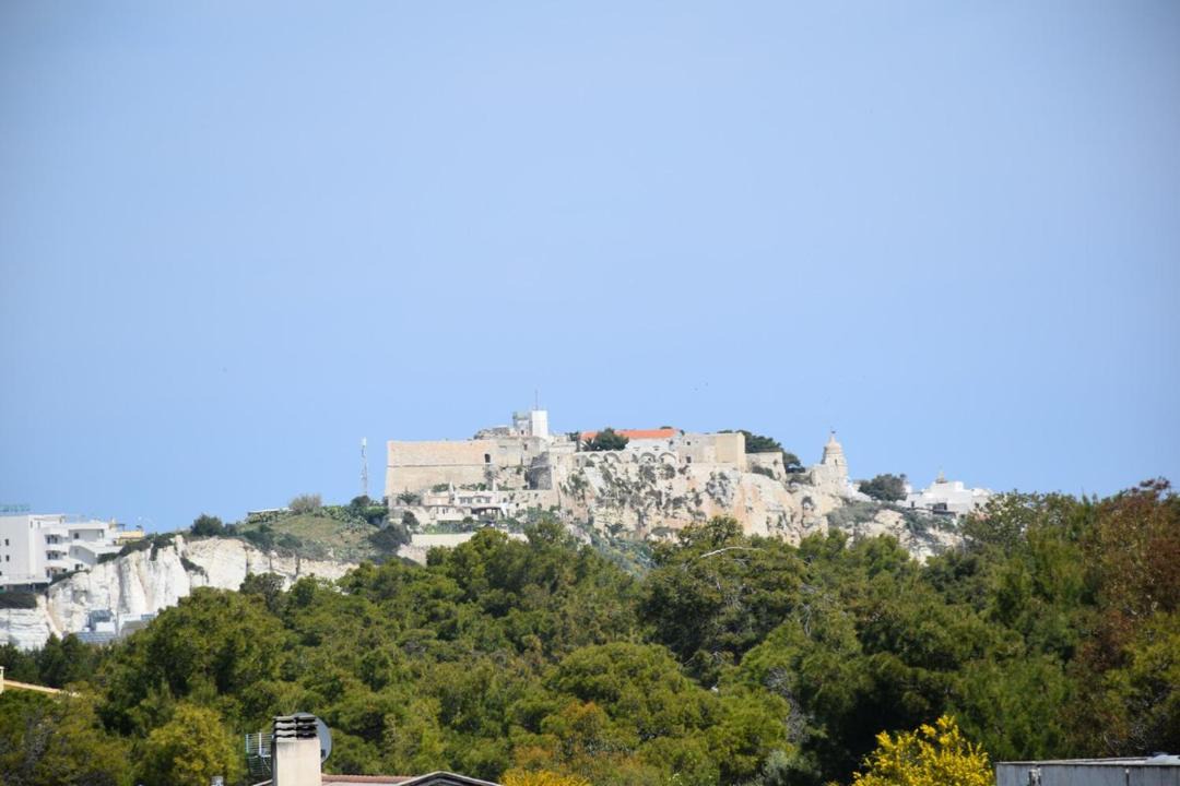 Photo of Others in Scialara