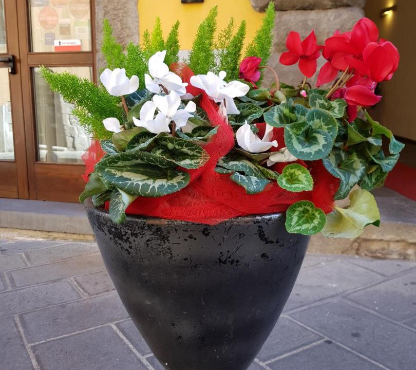 Photo of Others in Montefiascone