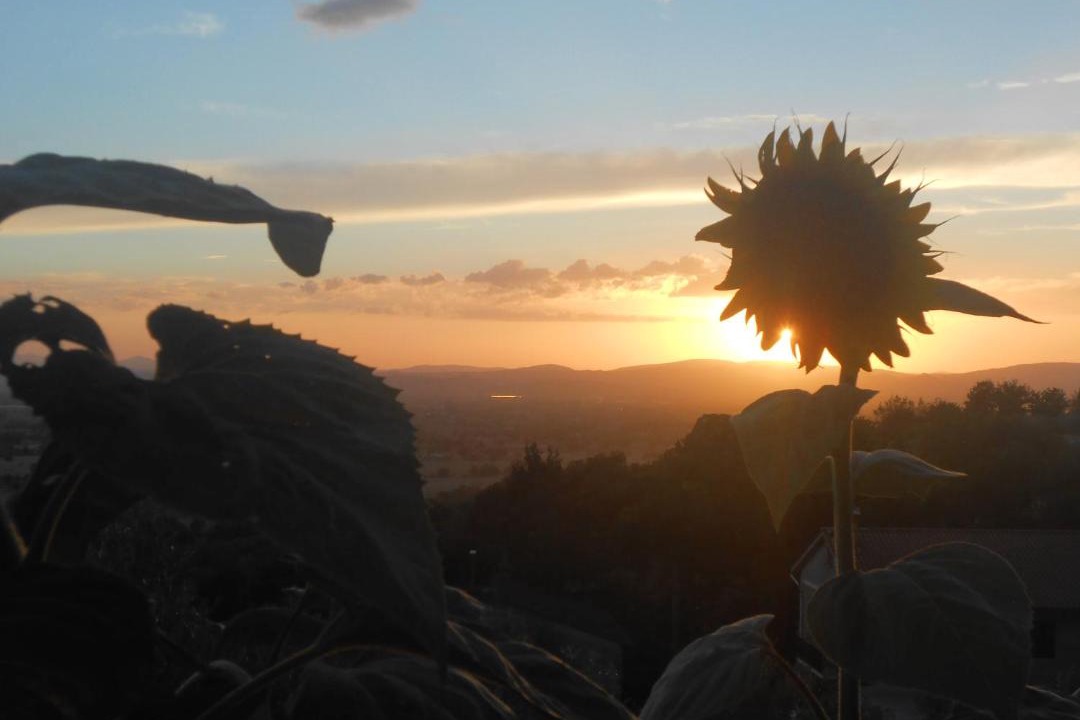 Photo of Others in Assisi