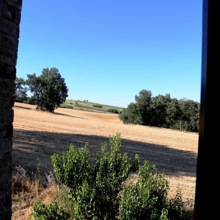 Photo of Others in Urbisaglia