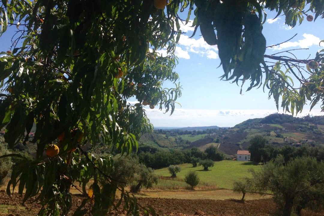 Photo of Others in Caprafico