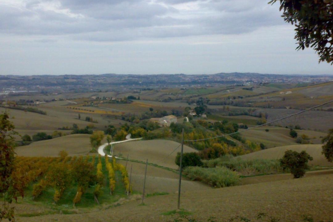 Photo of Others in Staffolo