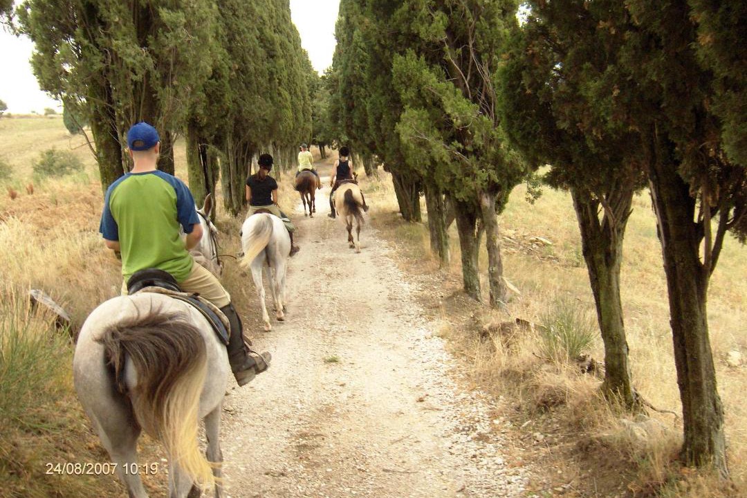 Photo of Others in Monte Santa Maria Tiberina