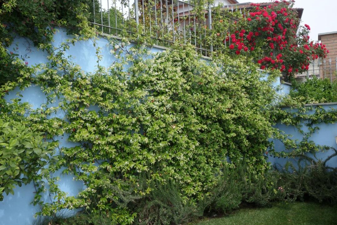 Photo of Outdoor in Montaldo Scarampi