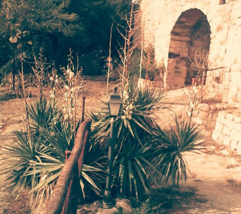 Photo of Outdoor in Roccastrada