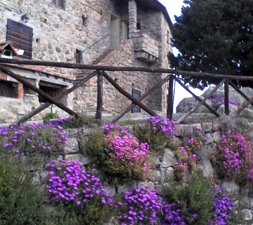 Photo of Buildings in Roccastrada