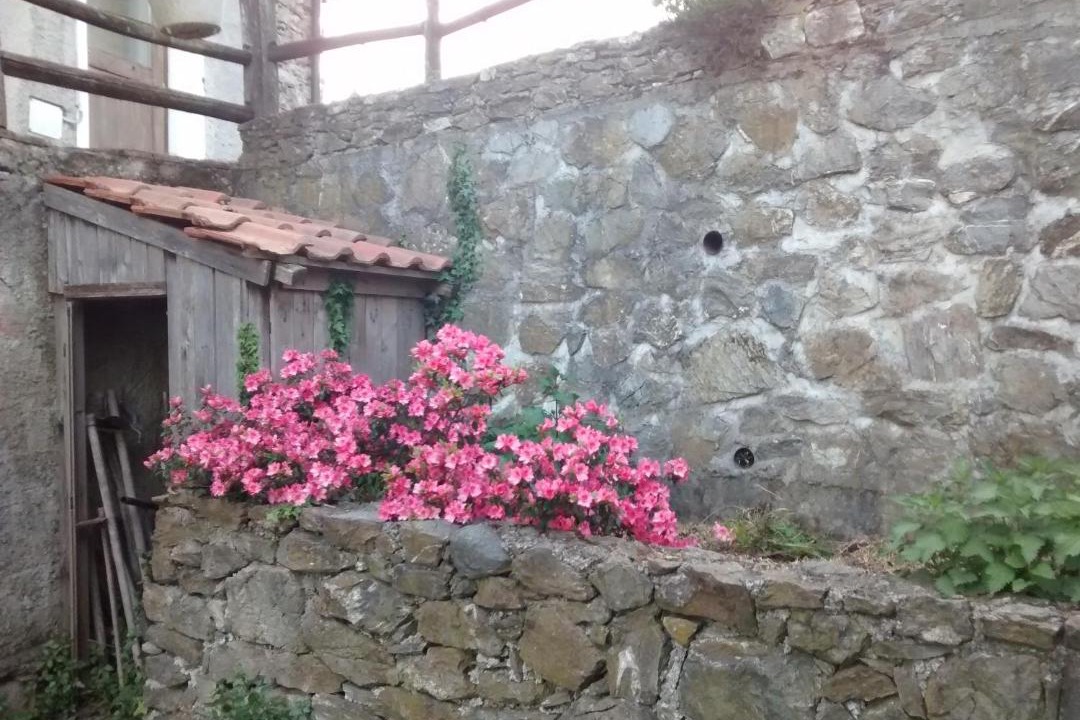 Photo of Others in Fraconalto
