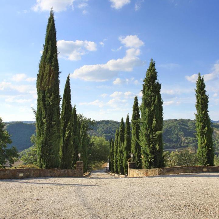 Photo of Others in Montelovesco