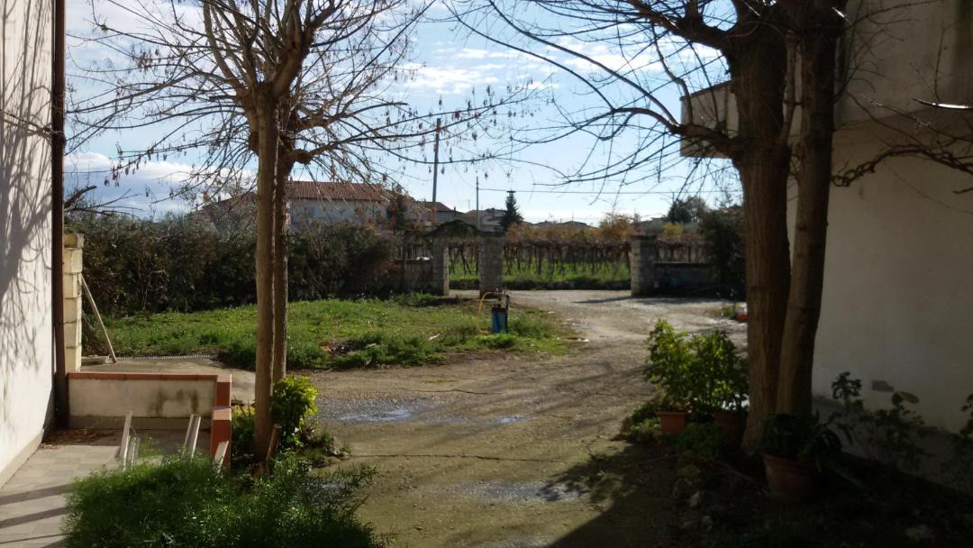 Photo of Others in Crecchio