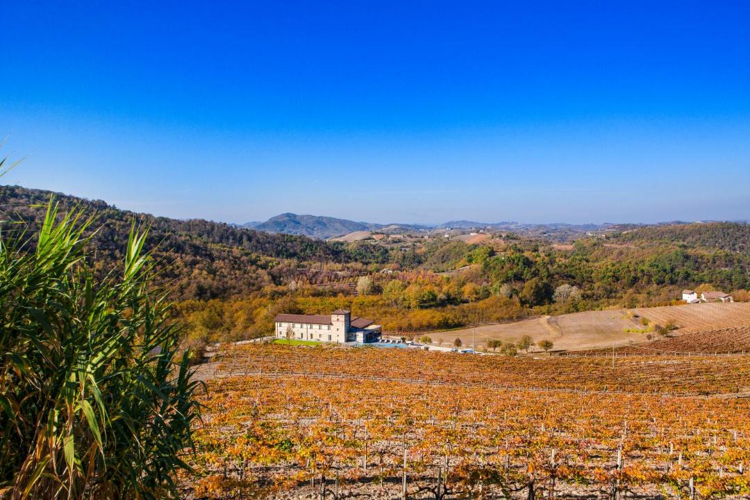 Photo of Others in Cremolino