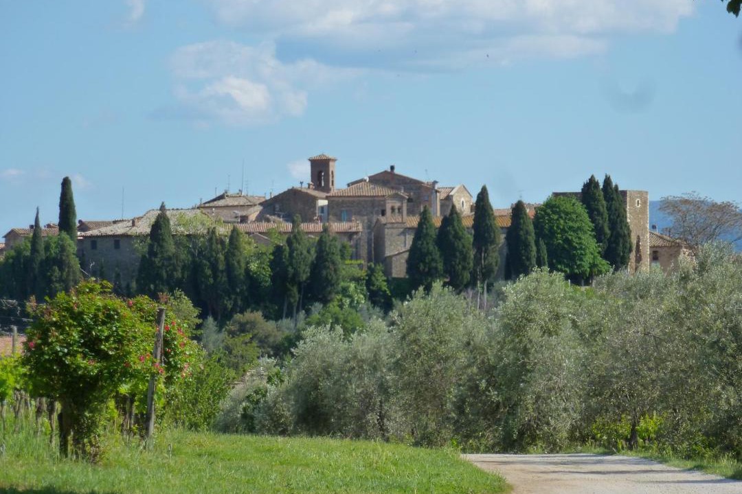 Photo of Others in Sant'Angelo In Colle