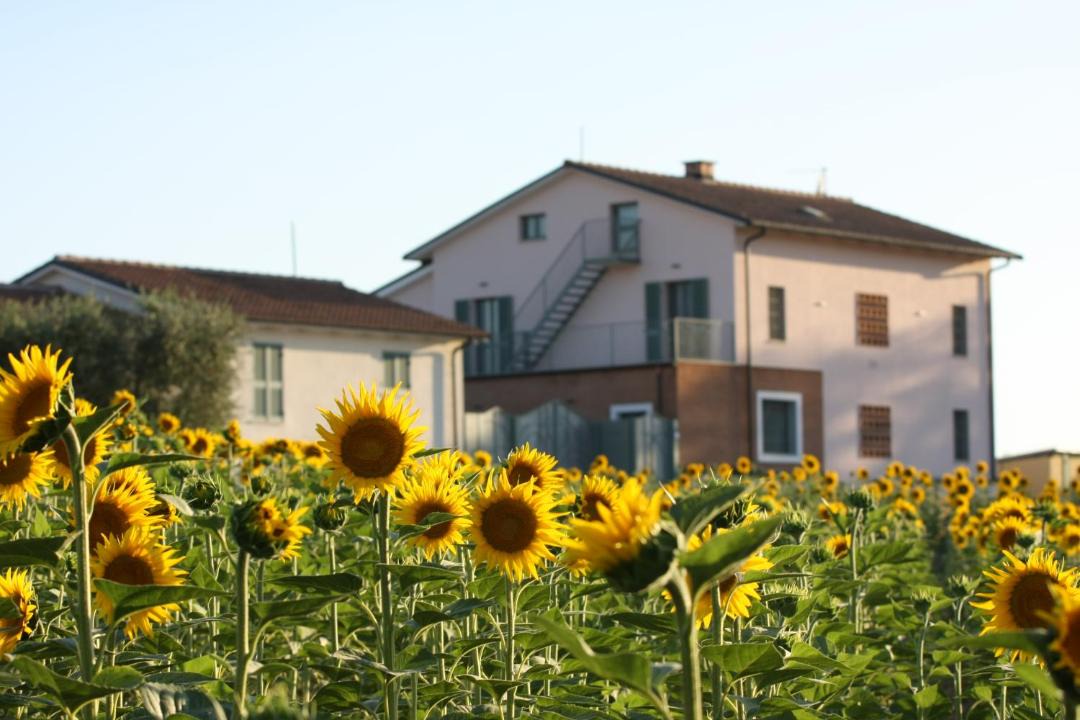 Photo of Others in Montecastrilli