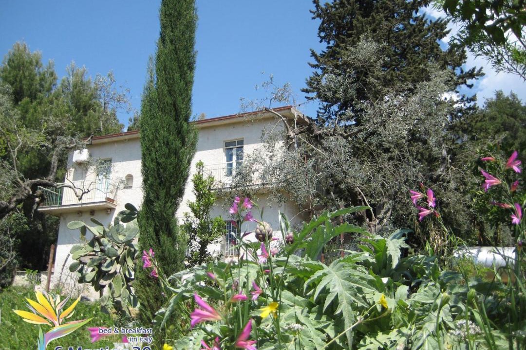 Photo of Buildings in Itri