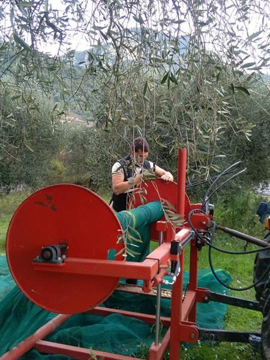 Photo of Others in Arrone