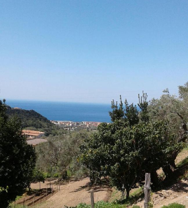 Photo of Others in Belvedere Marittimo