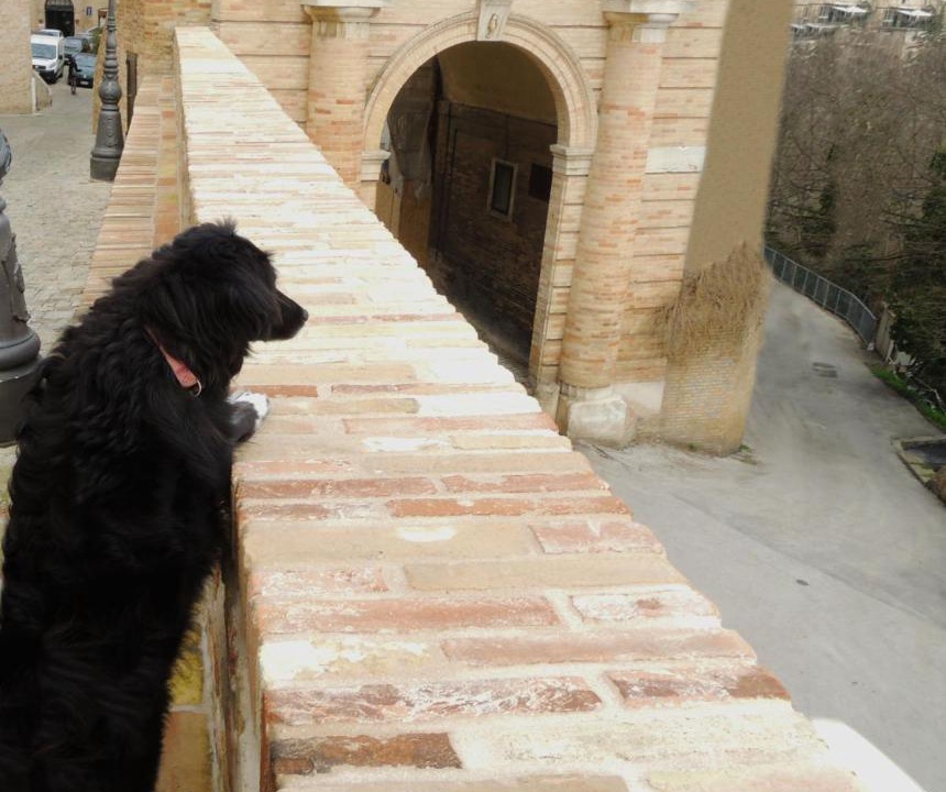Photo of Others in Recanati Old Town