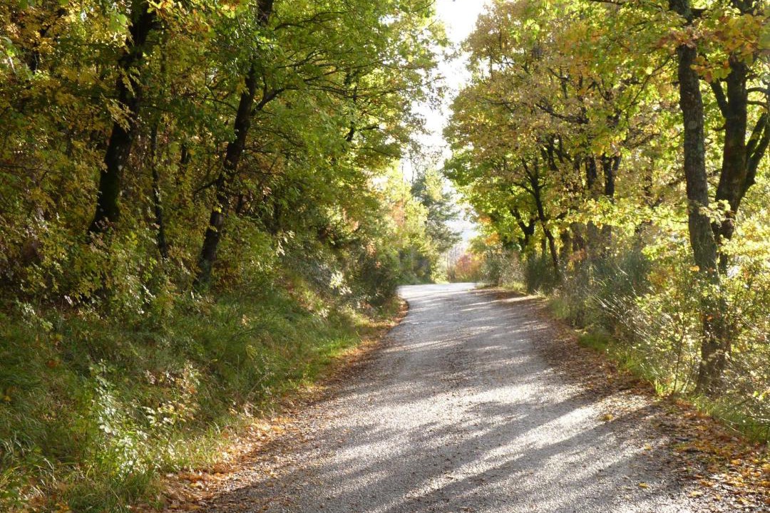 Photo of Outdoor in Nocera Umbra