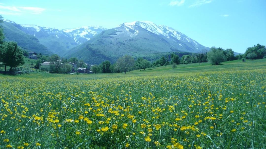 Photo of Others in Caramanico Terme
