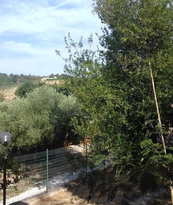 Photo of Others in Castelplanio