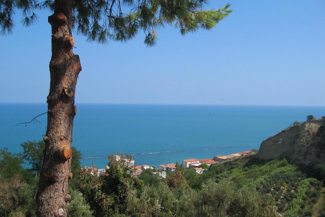 Photo of Others in San Vito Chietino