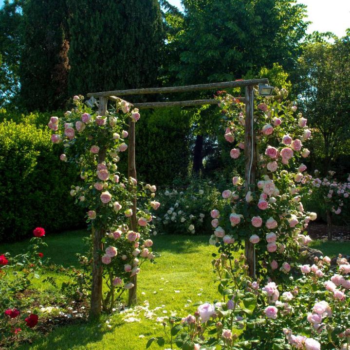 Photo of Outdoor in Soriano nel Cimino