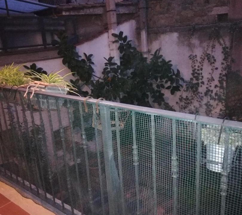 Photo of Buildings in Rione VI Parione
