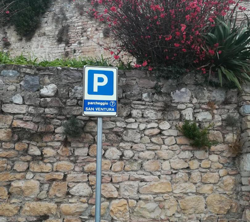 Photo of Others in Spello
