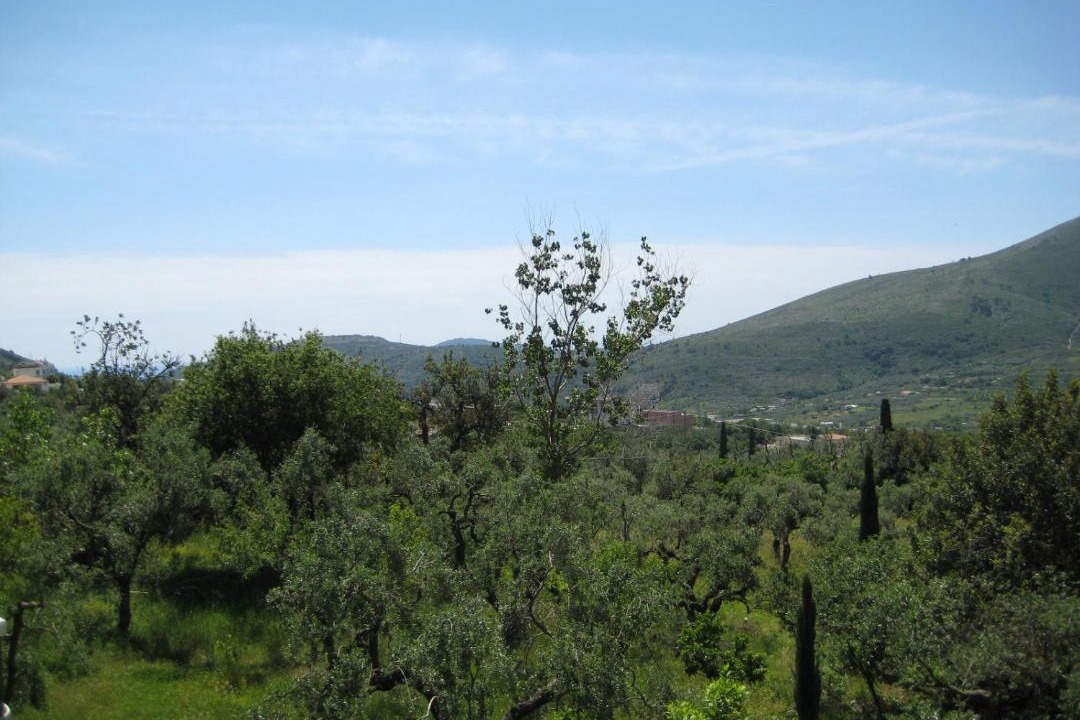 Photo of Outdoor in Itri