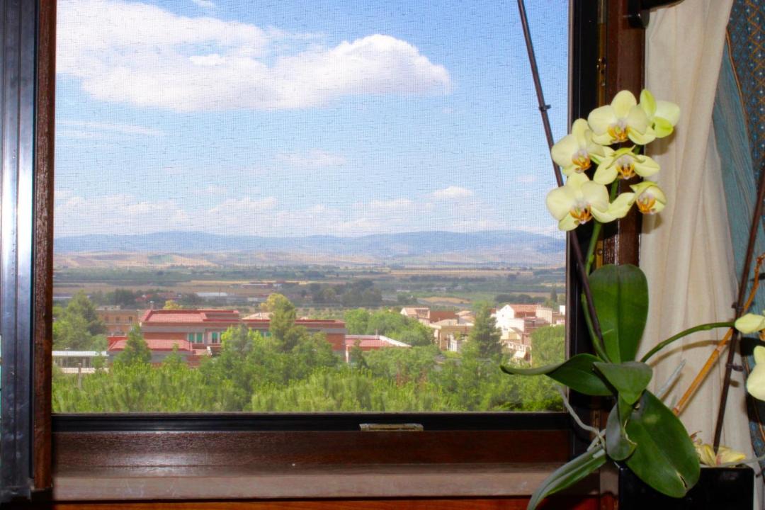 Photo of Others in Lucera